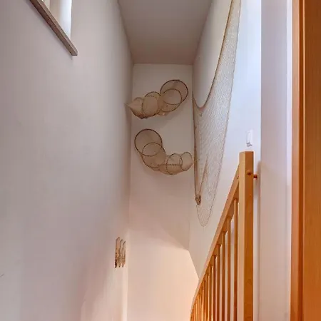 Apartament Zinnowitz, Paradies 